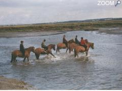 photo de Centre Equestre de la Baie de Somme
