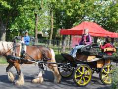 Foto 8ème Grande Fête du Printemps