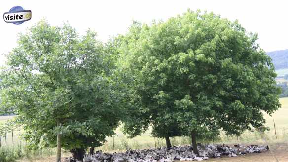 Fermer la fenêtre